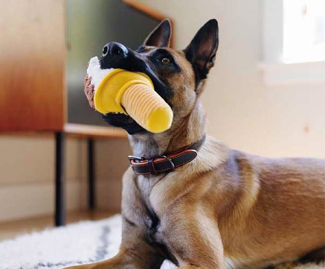 Snack Attack! Pizza, Ice Cream and Lollipop Dog Toy Set - P.L.A.Y.