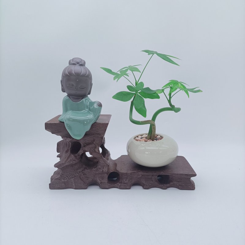 迷你招財樹 - 植栽/盆栽 - 其他材質 綠色