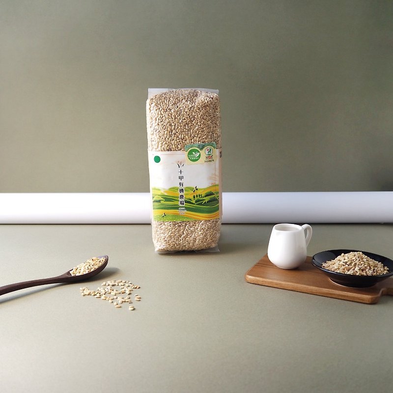 Shijia Organic Brown Rice - Grains & Rice - Other Materials 