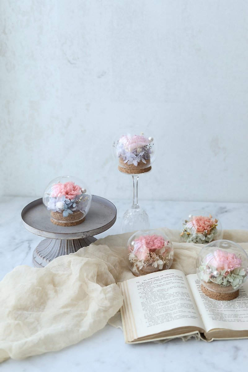 Carnation crystal ball/Mother's Day immortal flower glass cover dried flower - ช่อดอกไม้แห้ง - พืช/ดอกไม้ 