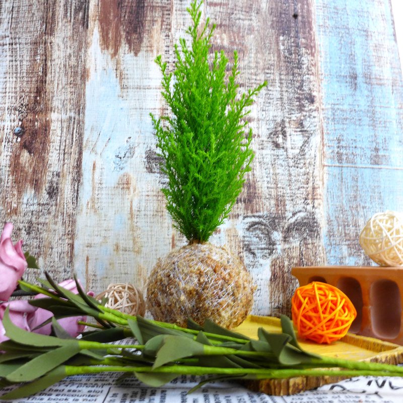 Handmade / Small Tree Series Moss Ball - Crowned Cedar - ตกแต่งต้นไม้ - พืช/ดอกไม้ สีเขียว