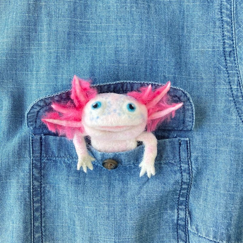 Handmade axolotl brooch Bright cute amphibian pin Needle felted jewelry 蠑螈 - Brooches - Wool Pink