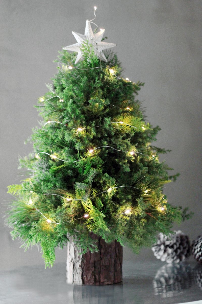 Fresh cedar [large style] natural undecorated cedar Christmas tree - ตกแต่งต้นไม้ - พืช/ดอกไม้ หลากหลายสี