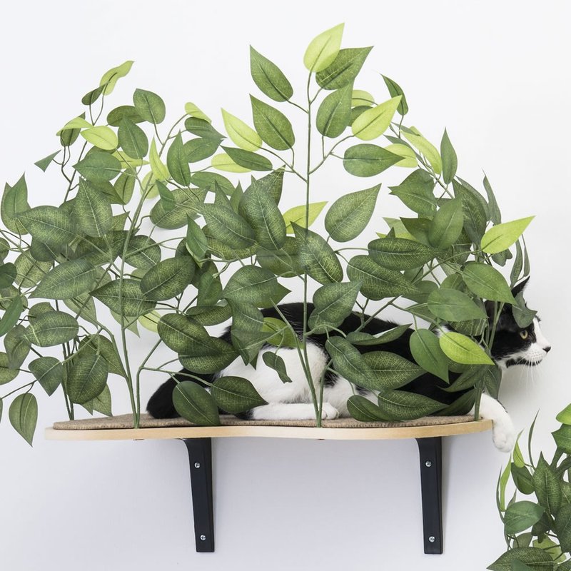 美國On2Pets 栩栩如生貓樹跳台-壁掛型(黑色) 一組有兩座 - 貓/狗玩具 - 木頭 綠色