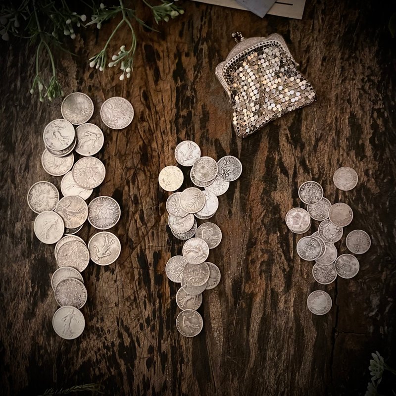 法國1867至1920百年流通銀幣54枚/鍍銀老錢包 - 其他 - 純銀 銀色