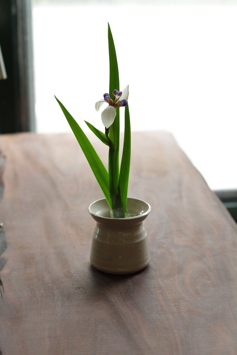 手工白陶土陶瓷歐式花器 - 花瓶/花器 - 陶 白色