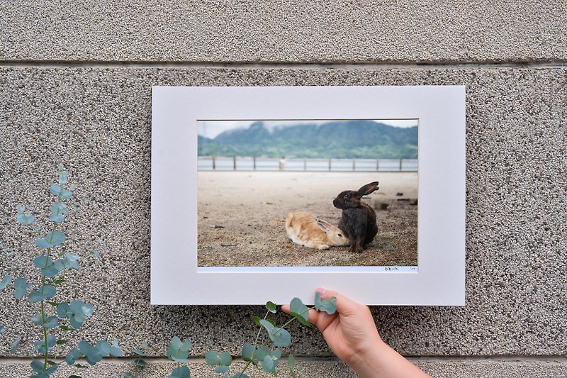 Limited Edition Rabbit Photographic Art Original-Snuggle - Items for Display - Paper Blue