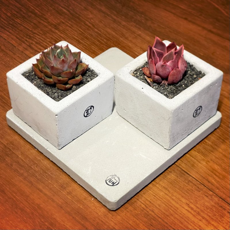 【野草不野】好事成雙_情人套組 - 成對中方植栽 / 大方墊 - 植栽/盆栽 - 植物．花 綠色