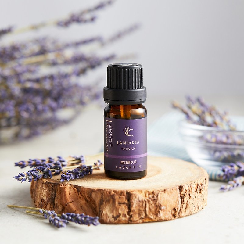 Eye-catching lavender 10ml - pure natural plant essential oil | aromatherapy | incense | graduation - Fragrances - Glass Purple