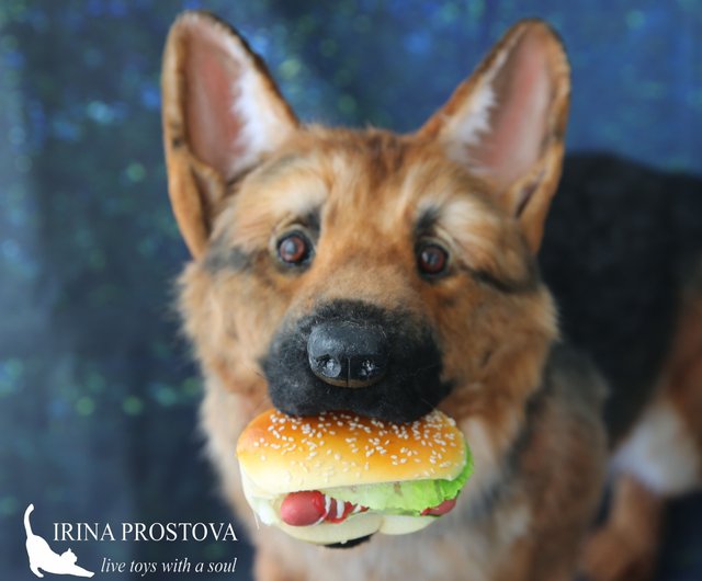 愛犬ステッカー】犬と暮らしてます シェパード ひくく