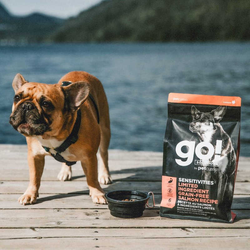 【狗主食】go! 鮭魚全犬 低致敏系列 無穀 狗飼料 皮毛保健 - 狗罐頭/鮮食 - 新鮮食材 