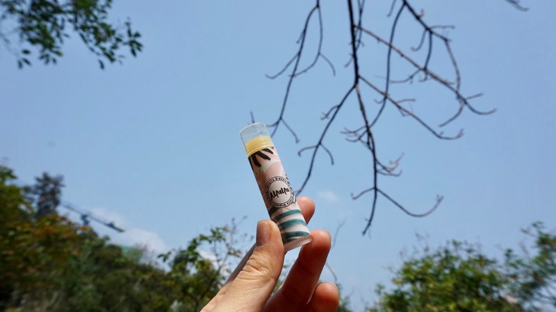 【Honey Repair Lip Balm】For Eczema Skin | Registered TCM Formula | Natural Herbs - Lip Care - Concentrate & Extracts Gold