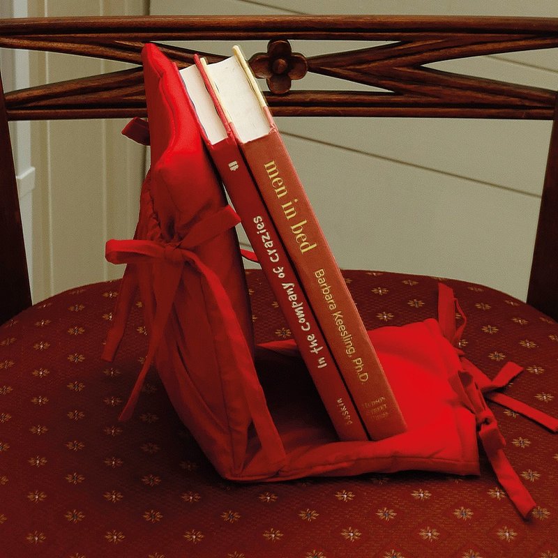 布書擋 紅色 (書蟲系列) - 書架/書擋 - 棉．麻 紅色