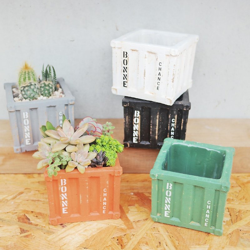 Peas succulents and small groceries - small container series planting combination - ตกแต่งต้นไม้ - ปูน 