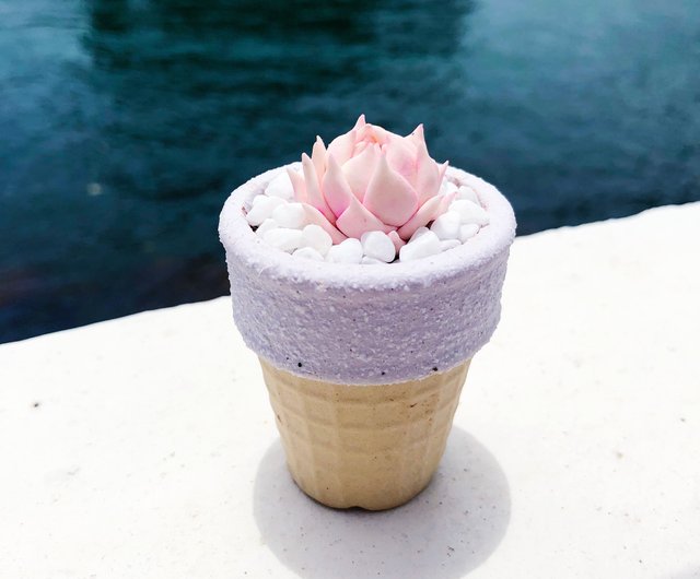 アイスクリームコーン型の植木鉢石' - ショップ wtrless-succulent