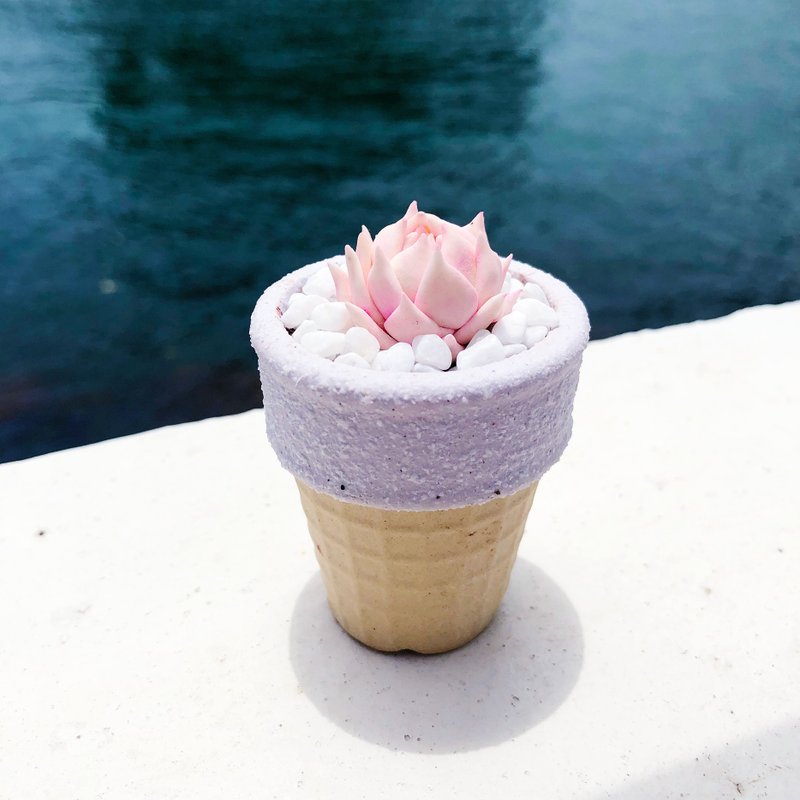 Ice cream cone shaped flower pot - Stone elegans ' alba ' - ตกแต่งต้นไม้ - ดินเหนียว 