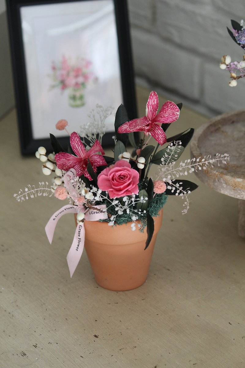 時空の贈り物（ピンク色） - ドライフラワー・ブーケ - 寄せ植え・花 ピンク