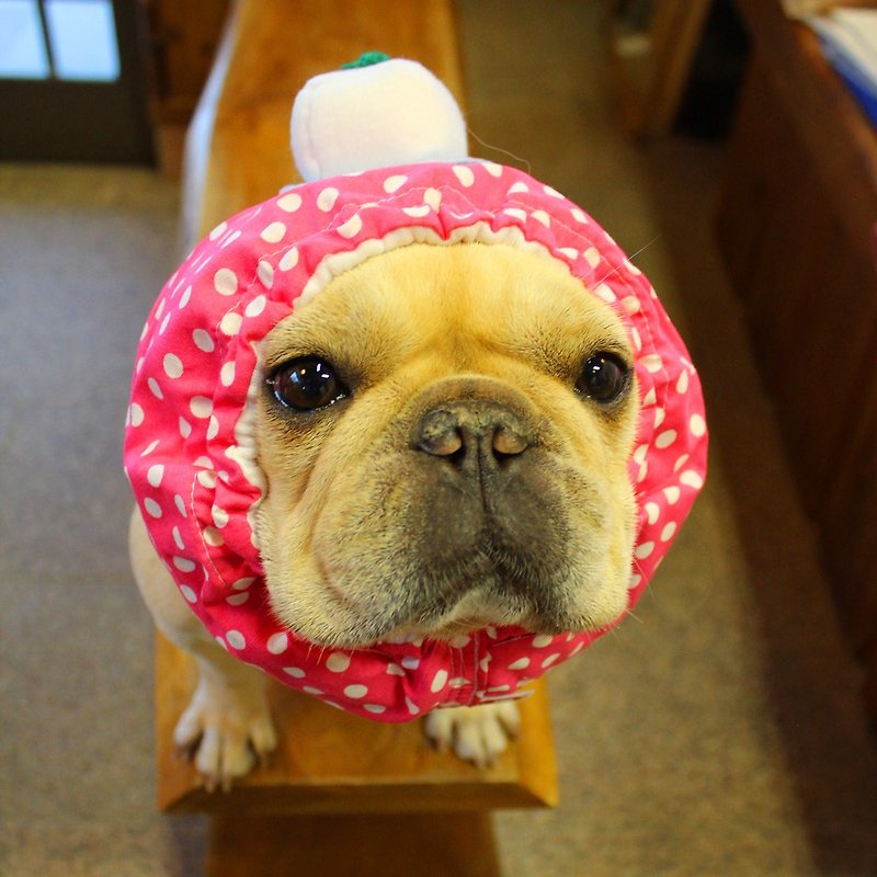 冷やし犬ヅラ　ピンク　冷やっこ - 洋服・帽子 - ウール ピンク