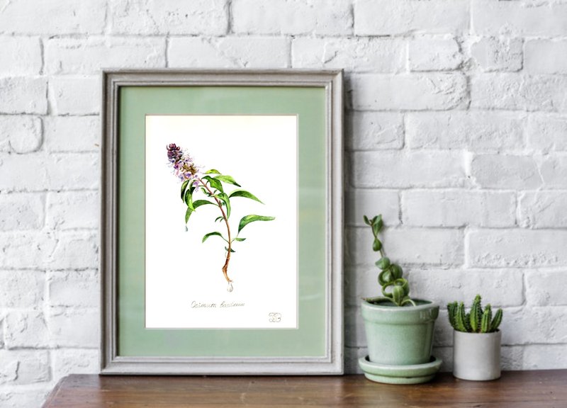 Original Watercolor Painting of Basil Botanical Floral Art 23 x 30 cm - 壁貼/牆壁裝飾 - 紙 綠色