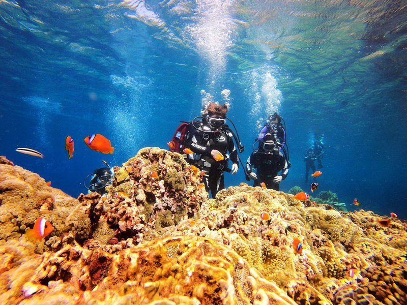 【台東蘭嶼】一對一體驗潛水 - 戶外/室內活動 - 其他材質 