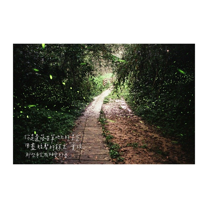 \遺落草地的星空/Sheepyrose明信片 - 卡片/明信片 - 紙 