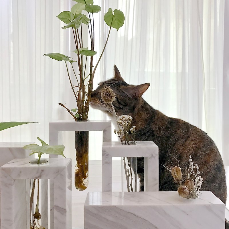 Test Tube Square Series - Box - M] Pond hydroponic dried flowers marble home decoration - Plants - Stone White