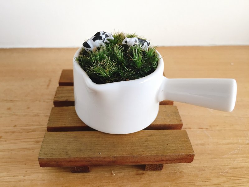 Animal cow on pure natural grassland white chinaware original board potted moss plant gift micro landscape animal micro landscape - ตกแต่งต้นไม้ - พืช/ดอกไม้ ขาว