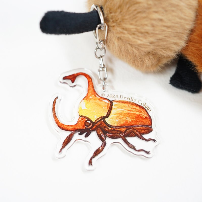 【Mr Beetles - Umbrella Rhinoceros Beetle】Acrylic Keychain - ที่ห้อยกุญแจ - กระดาษ สีส้ม