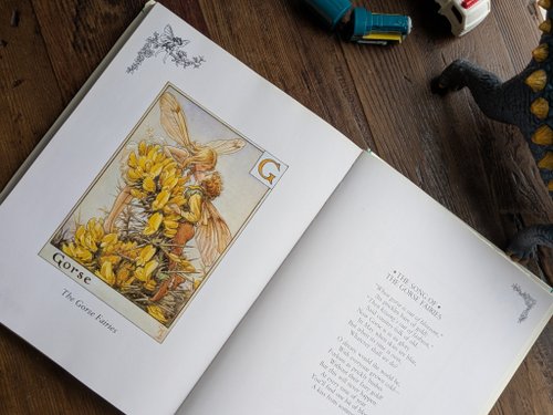 花と妖精の絵本　3冊組 花と妖精の絵本 3冊組