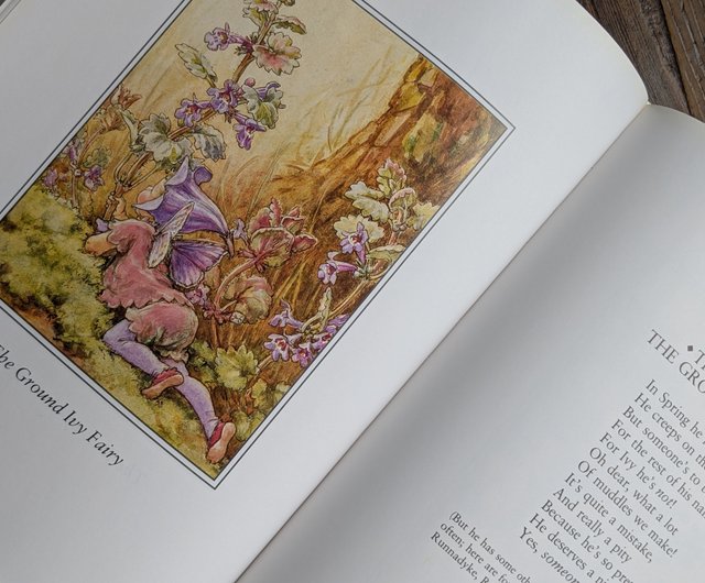 ●アンティークヴィンテージ洋書古書花の妖精 フラワーフェアリーズ絵本希少 2025年最新】フラワーフェアリーズ 洋書の人気アイテム - メルカリ