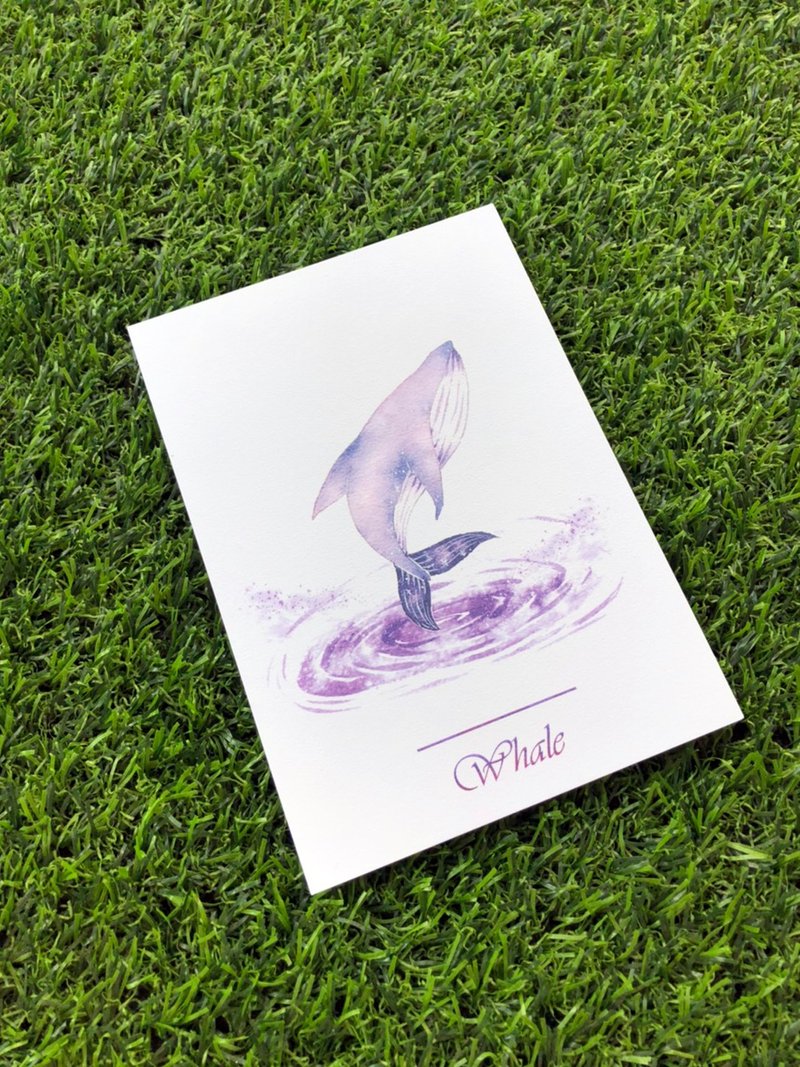 明信片　彩鯨小紫 - 卡片/明信片 - 紙 紫色