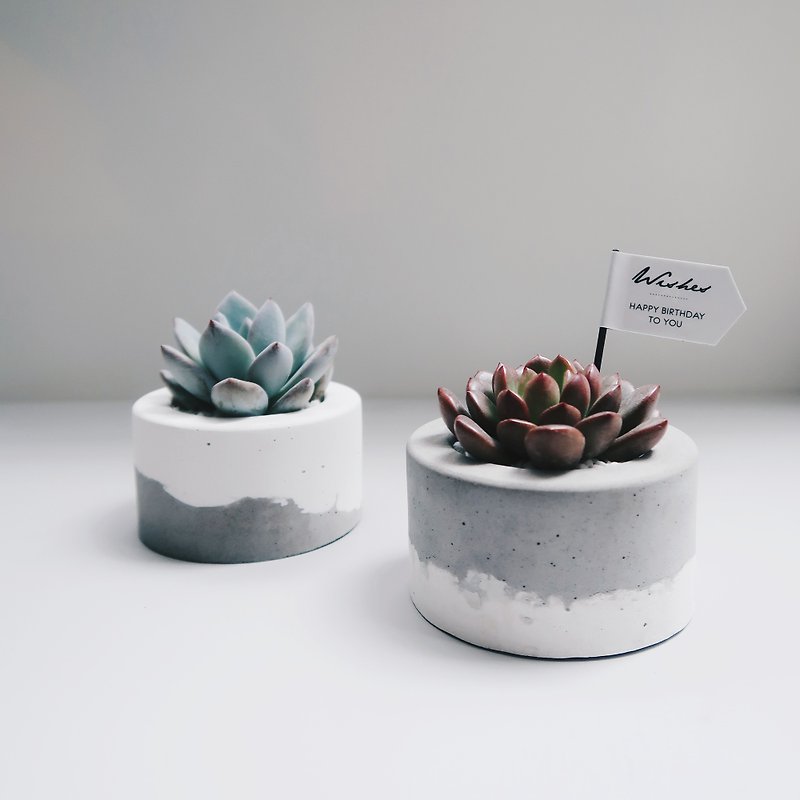 LITTLE CAKE Small Round Cake | Double Fresh Cream Cement Pot, Potted Flower Set - Pottery & Ceramics - Cement White