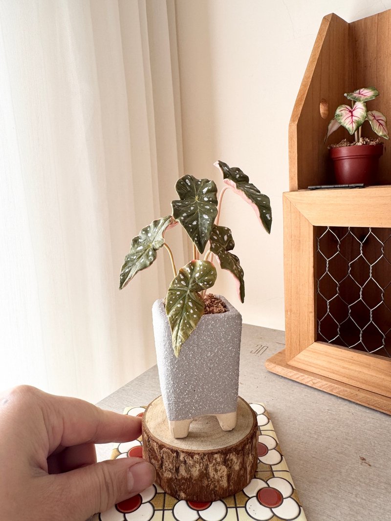 手作擴香石膏黏土-觀葉植物 - 香氛/精油/擴香 - 其他材質 綠色