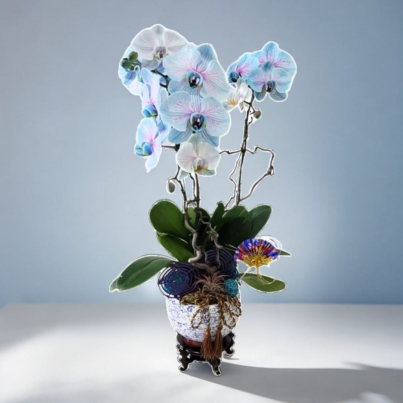 Macaron Large Moth / Phalaenopsis Orchids (3 Flowers) GF00234 - ตกแต่งต้นไม้ - พืช/ดอกไม้ 