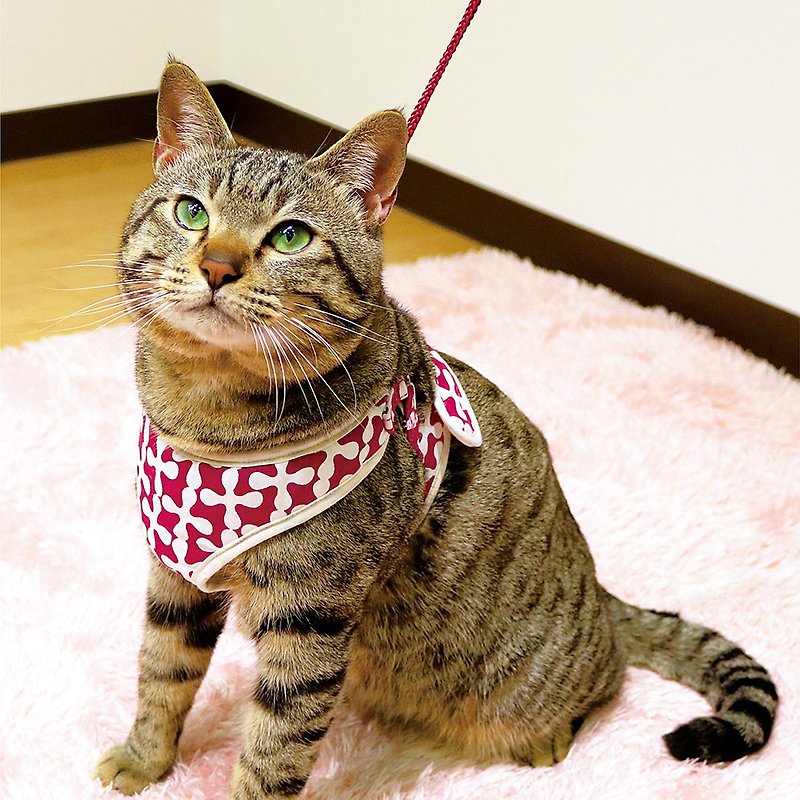 【日本CattyMan】貓咪胸背+牽繩組 多種顏色  尺寸 - 項圈/牽繩 - 其他材質 