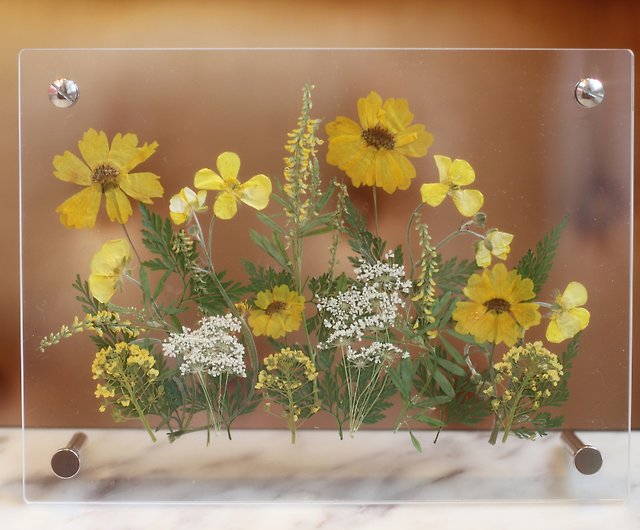 Framed Pressed Flowers, Wildflowers