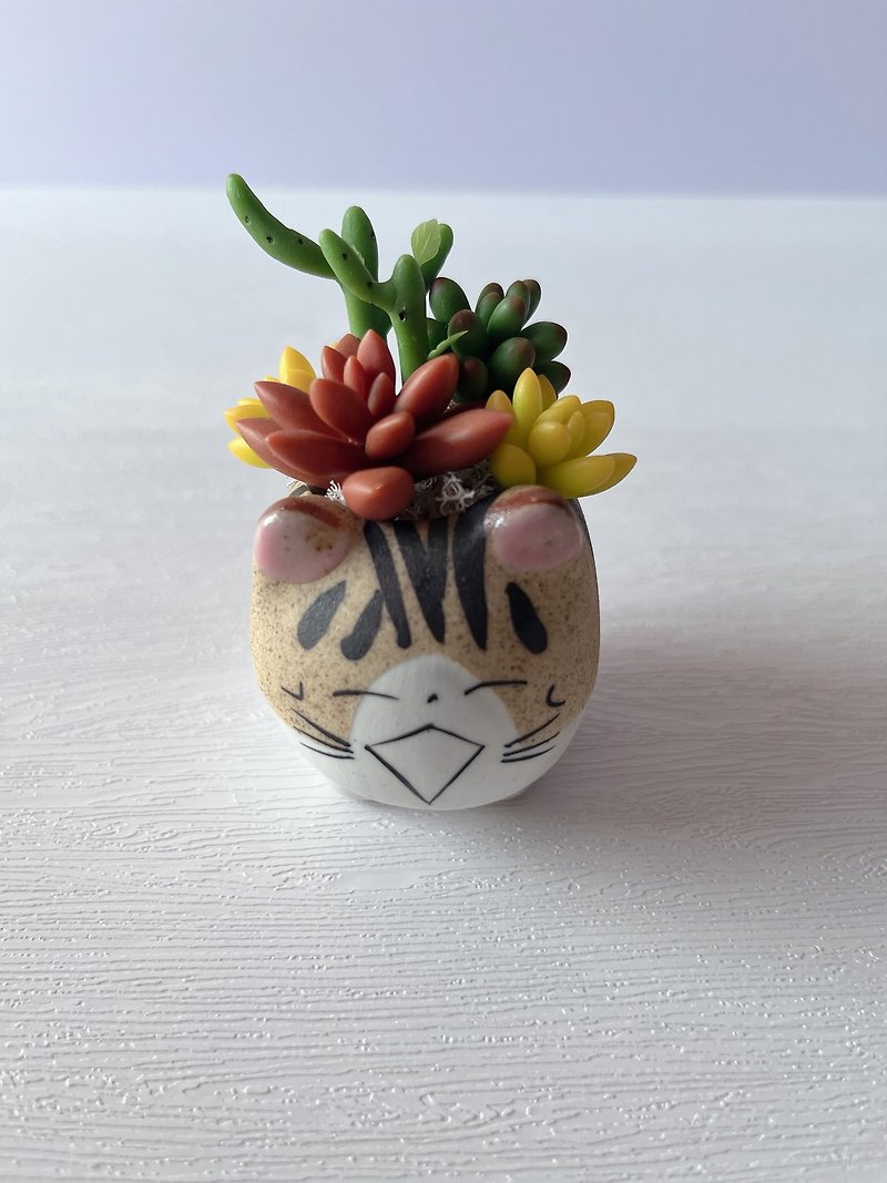 [Simulated clay succulent plant pot set-cat style 2] Made to order - Plants - Clay Multicolor