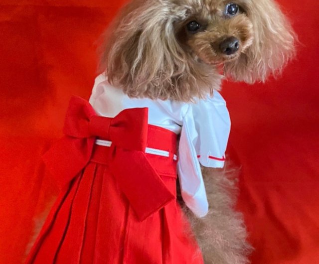 犬服 ハンドメイド着物 Sサイズ⑤ 犬服 ハンドメイド着物 Sサイズオンライン ショッピング