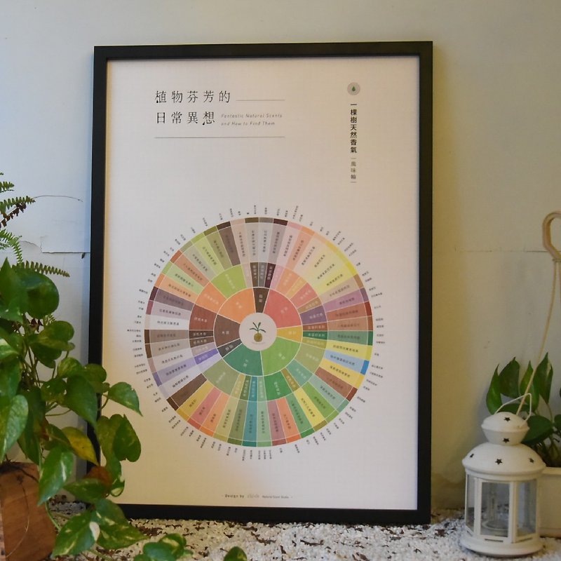 Natural aroma flavor wheel poster【with frame】丨black frame/white frame - Other - Paper 