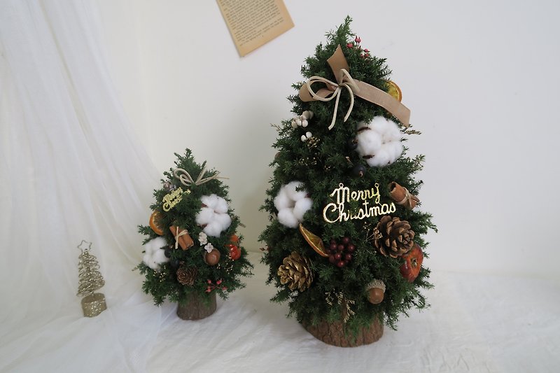【聖誕DIY材料包】永生雪松聖誕樹 (2款尺寸) | 乾燥花/永生花 - 花藝/盆栽/植栽 - 植物．花 