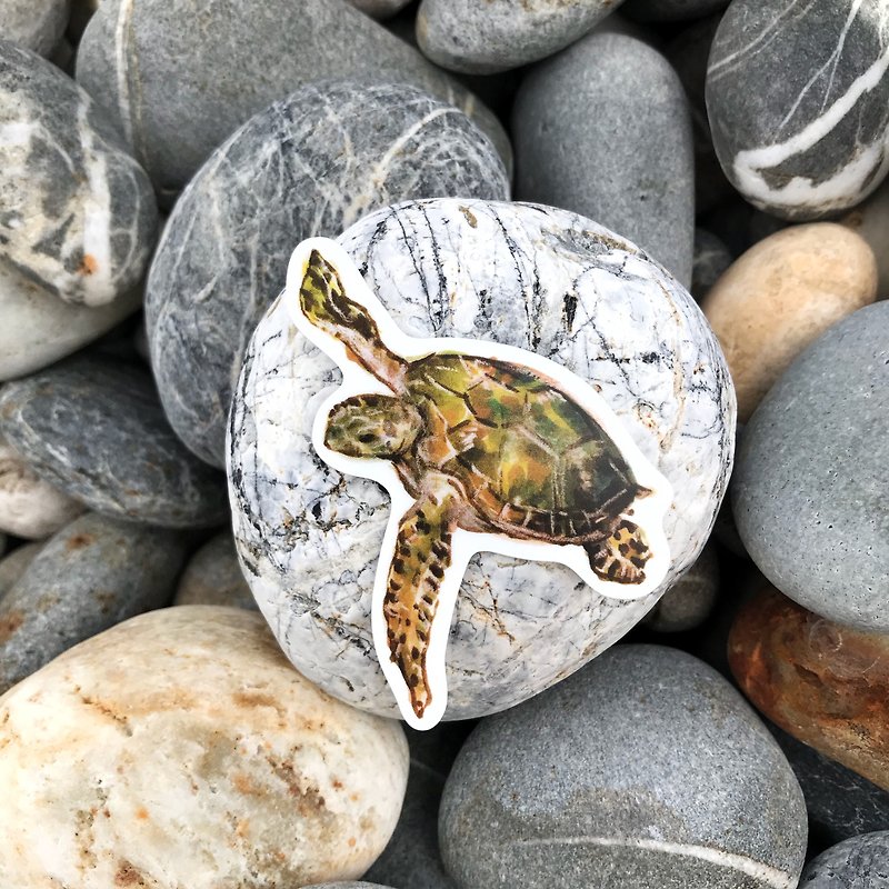 sea turtle stickers - สติกเกอร์ - พลาสติก สีเขียว