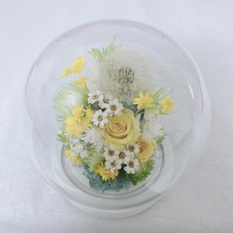 Preserved Flower Bell Jar_Dandelion Decoration Gift - Items for Display - Plants & Flowers White