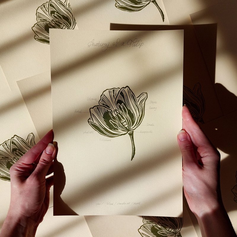 Vintage Anatomy Tulip Flower Linocut Print Botanical Original Artwork Wall Art - 壁貼/牆壁裝飾 - 紙 綠色