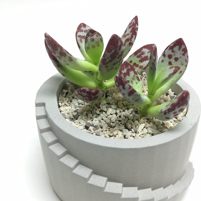 Bionic clay succulent plant sedum - Items for Display - Clay 