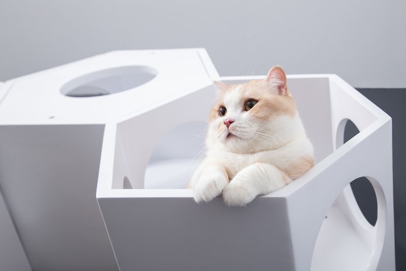 ไม้ อุปกรณ์แมว - Hexagon Floating Cat Shelves | BusyCat-White | MYZOO (sold per each)