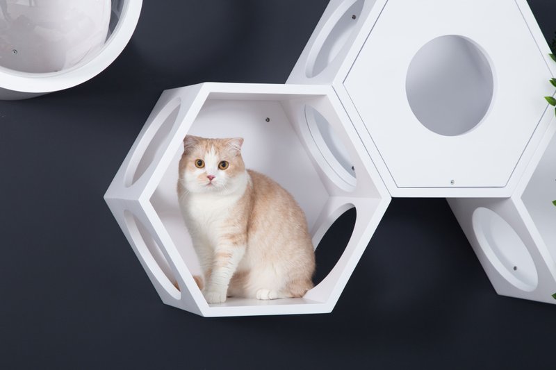 Hexagon Floating Cat Shelves | BusyCat-White | MYZOO (sold per each) - อุปกรณ์แมว - ไม้ 