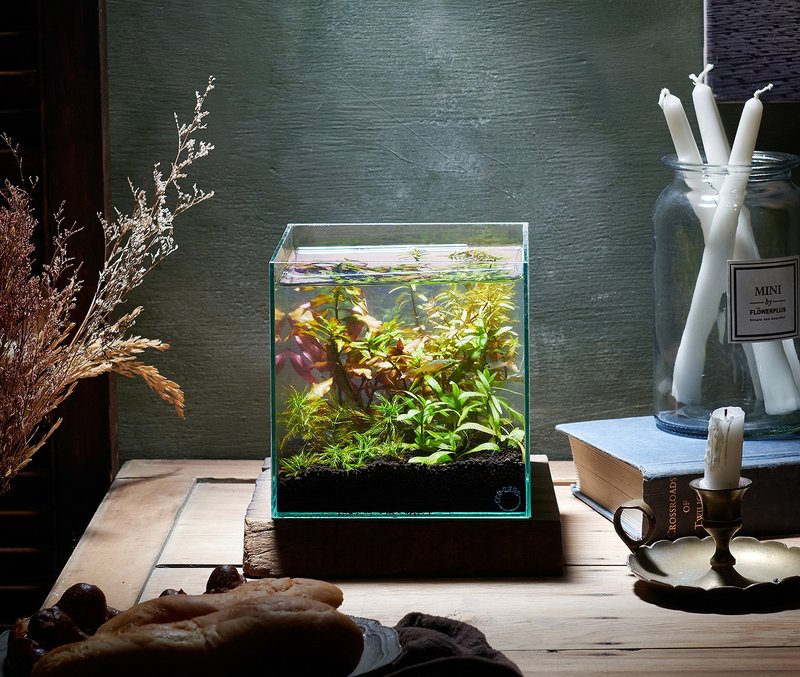 【ECO ZERO】SE+ Cube Transparent Light Technology Aquarium Ecological Filter Fish Tank Inflator Set - อื่นๆ - แก้ว สีใส