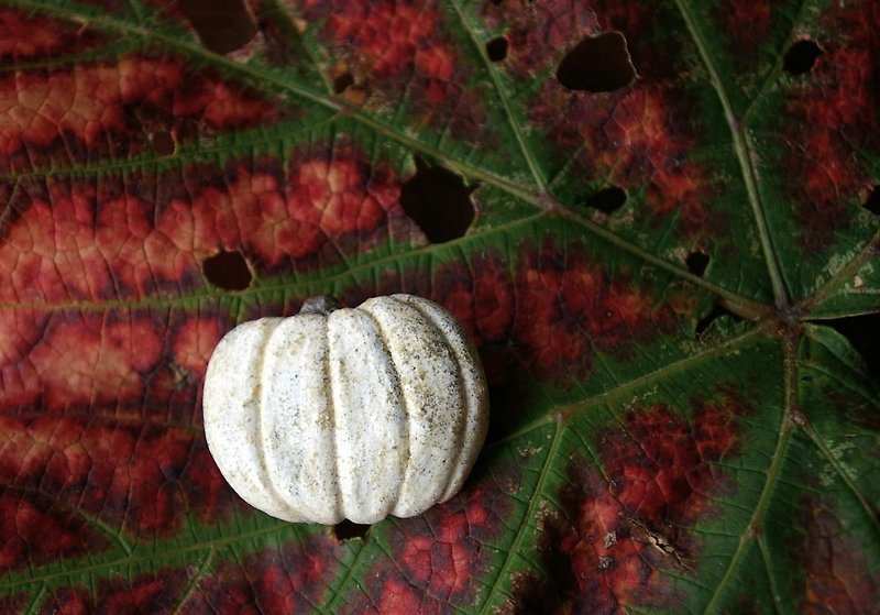 White pumpkin brooch (white pumpkin broach) - เข็มกลัด - โลหะ ขาว