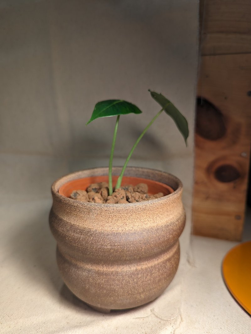 Plant pots, pottery pots, potted plants, hand-drawn pottery, loess - ตกแต่งต้นไม้ - ดินเผา 