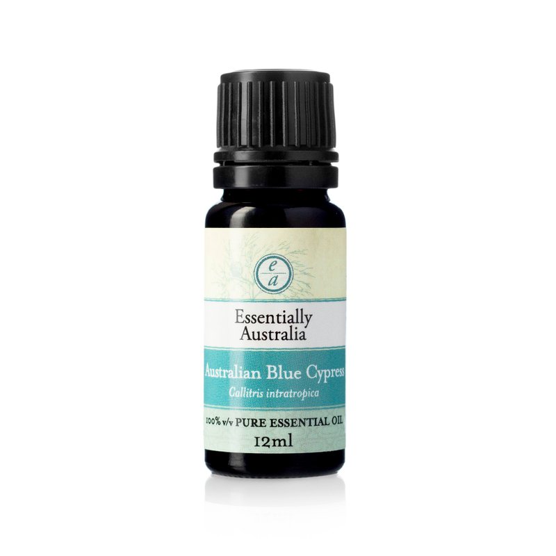 Australian Blue Cypress Essential Oil - น้ำหอม - น้ำมันหอม สีน้ำเงิน